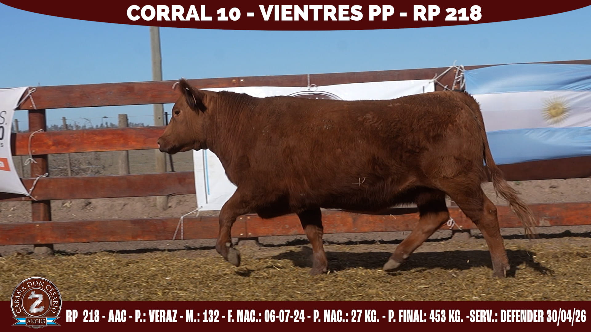 Vientre PP · RP 218 · Veraz · 132 · Corral 10