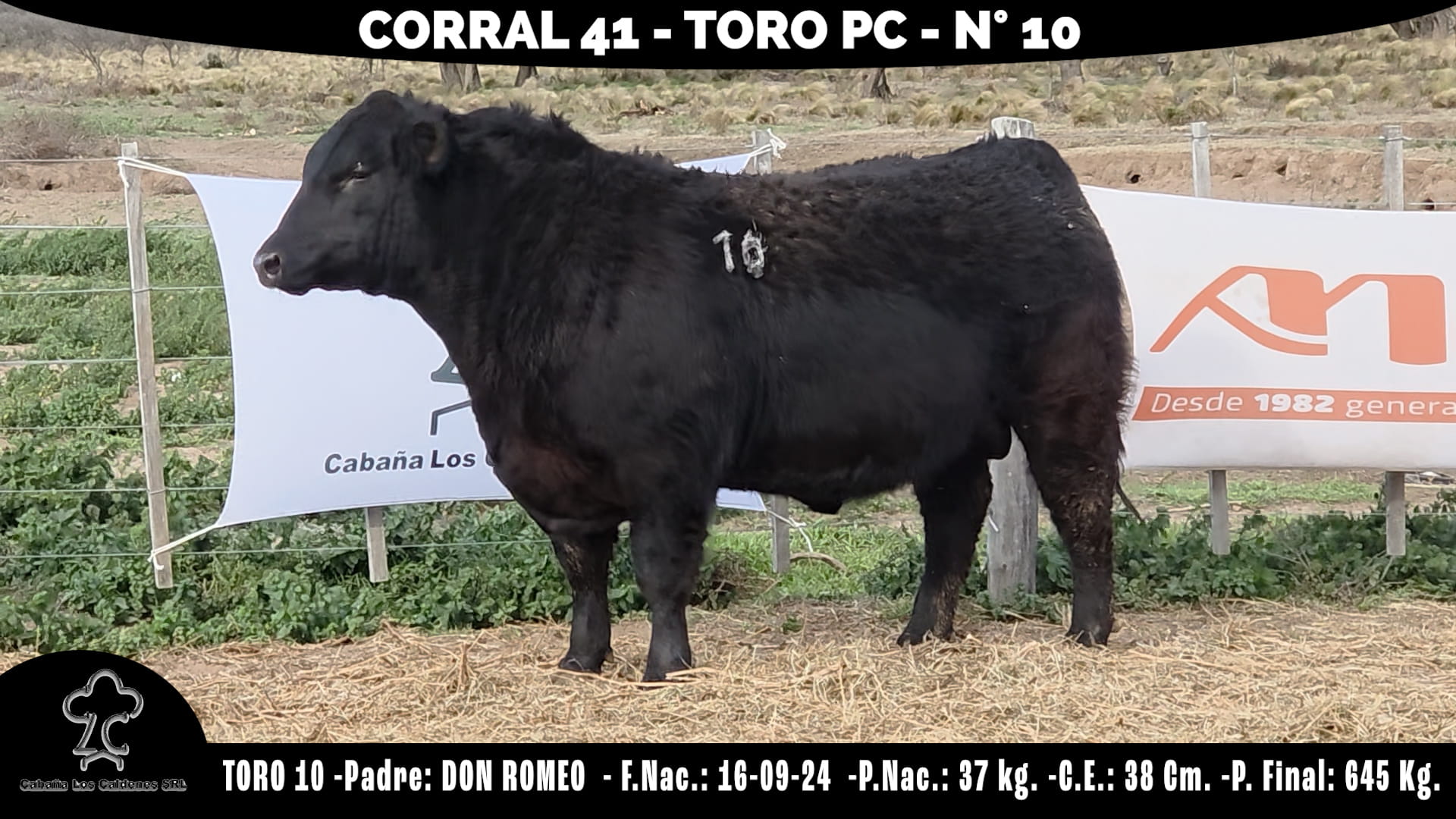 Toro PC · RP 10 · Corral 41 · Cabaña Los Caldenes