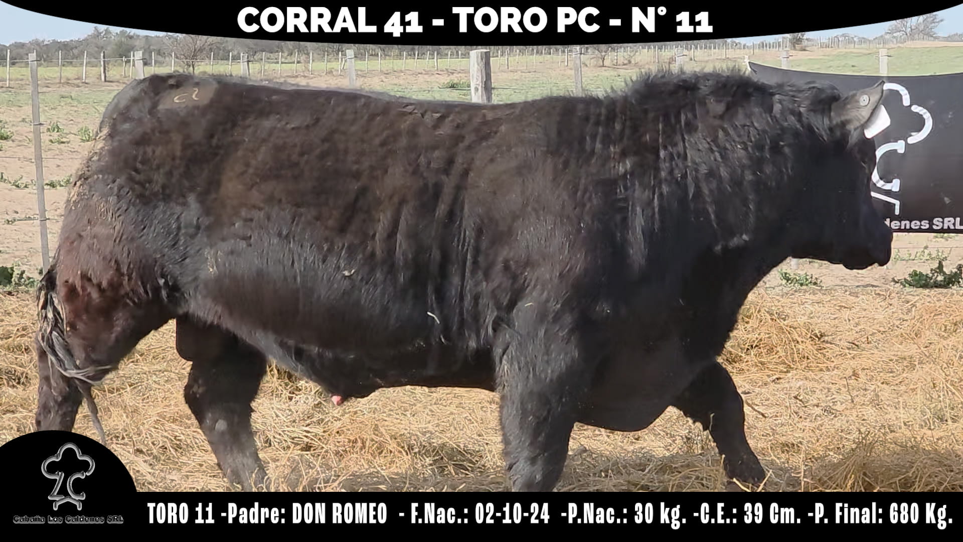 Toro PC · RP 11 · Corral 41 · Cabaña Los Caldenes
