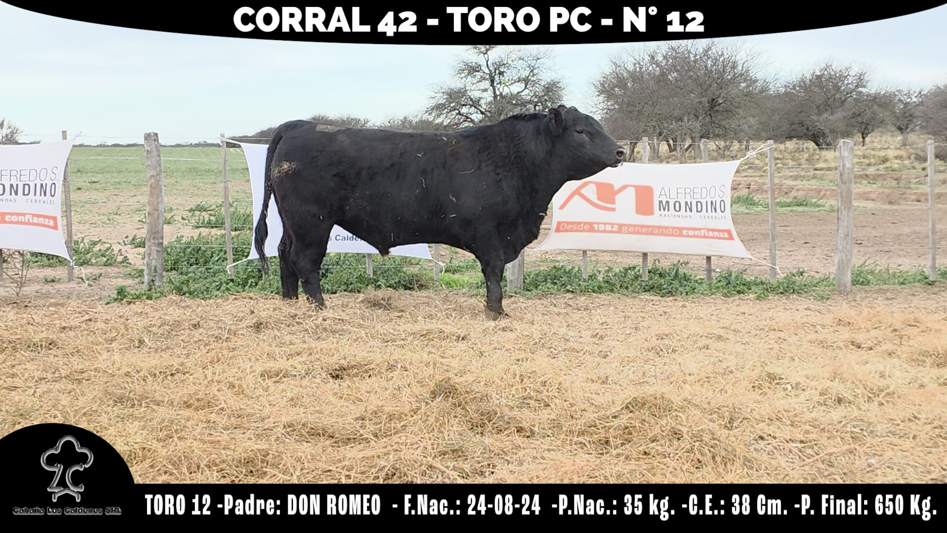 Toro PC · RP 12 · Corral 42 · Cabaña Los Caldenes