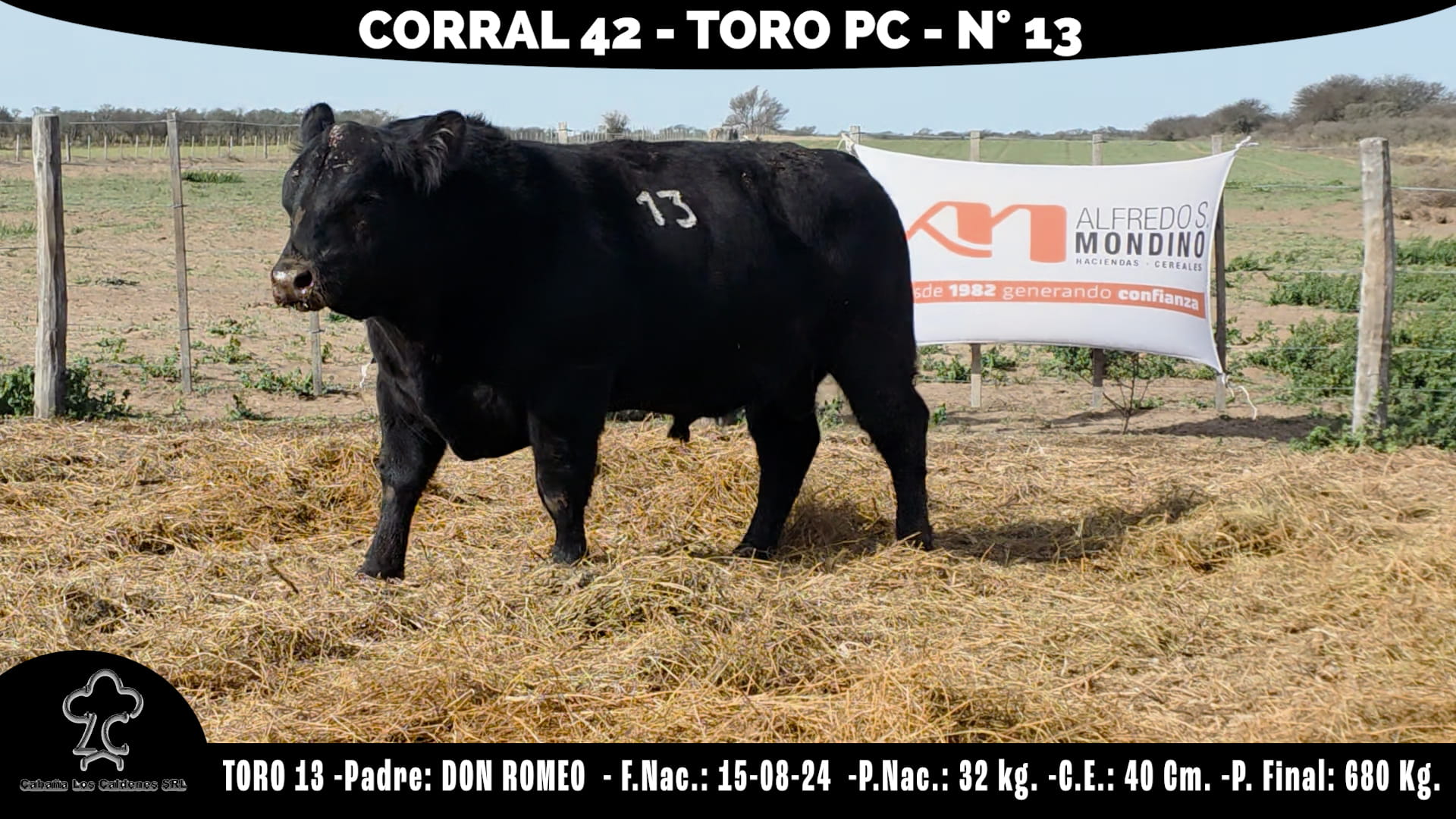 Toro PC · RP 13 · Corral 42 · Cabaña Los Caldenes