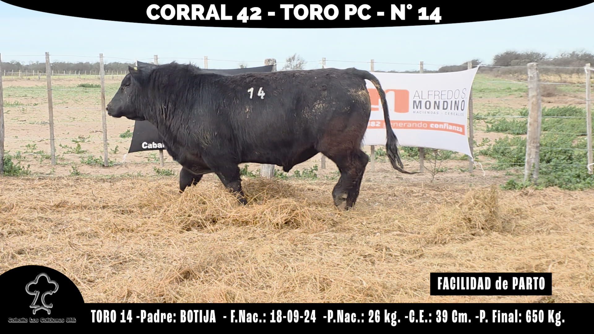 Toro PC · RP 14 · Corral 42 · Cabaña Los Caldenes
