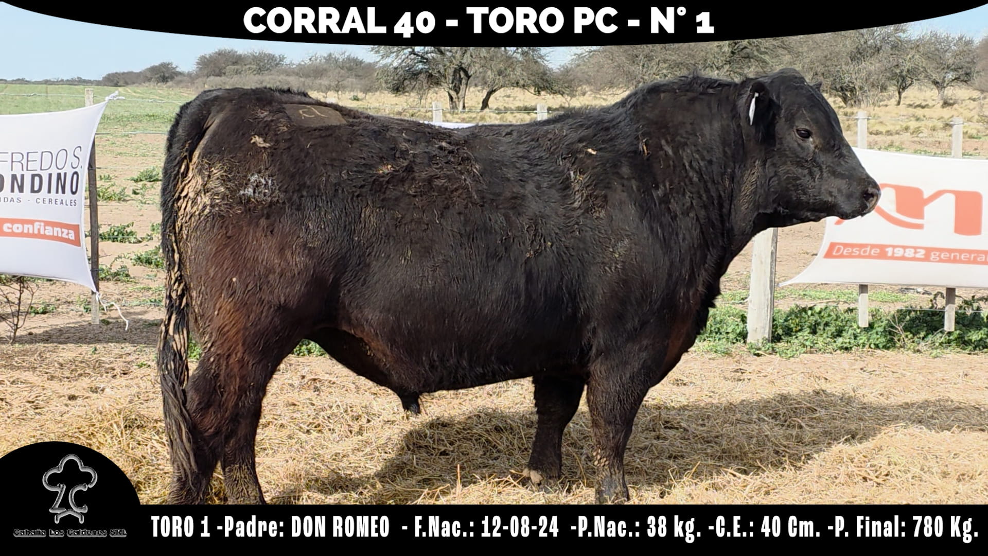 Toro PC · RP 1 · Corral 40 · Cabaña Los Caldenes