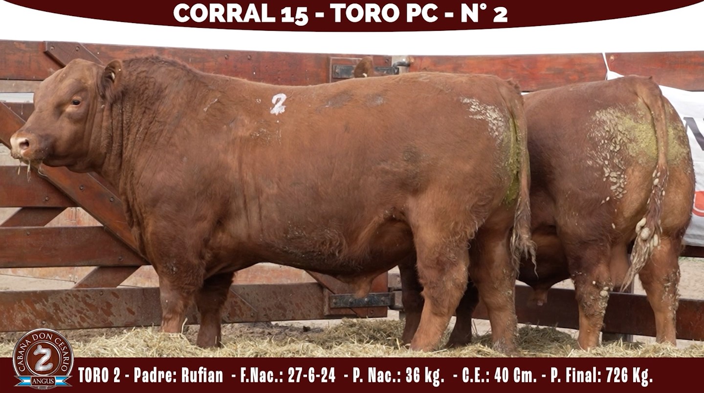 Toro PC · Corral 15 · N° 2 · Rufian