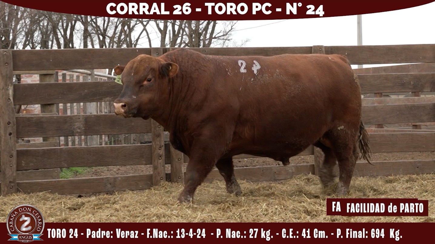 Toro PC · Corral 26 · N° 24 · Veraz