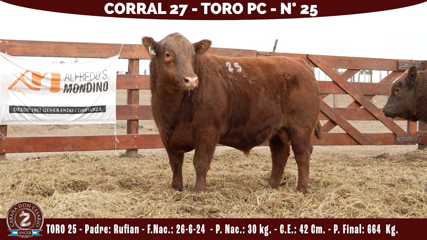 Toro PC · Corral 27 · N° 25 · Rufian