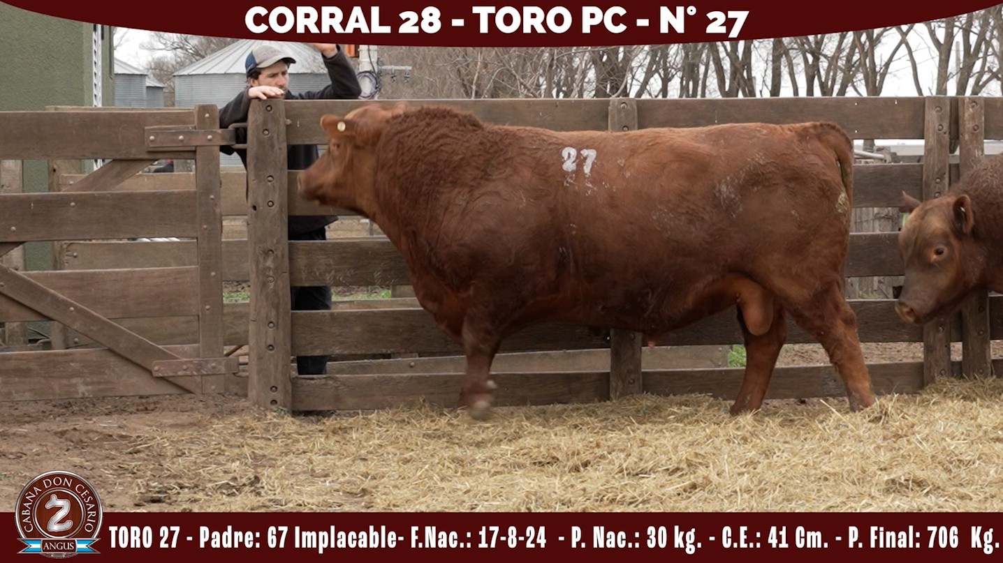 Toro PC · Corral 28 · N° 27 · 67 Implacable