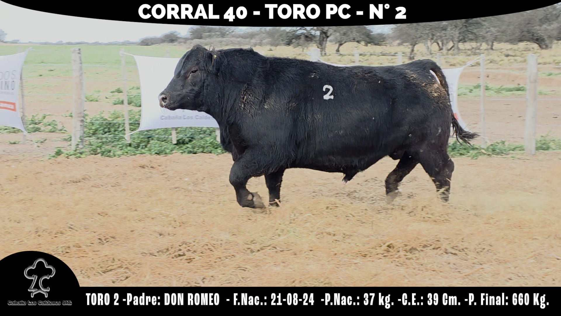 Toro PC · RP 2 · Corral 40 · Cabaña Los Caldenes