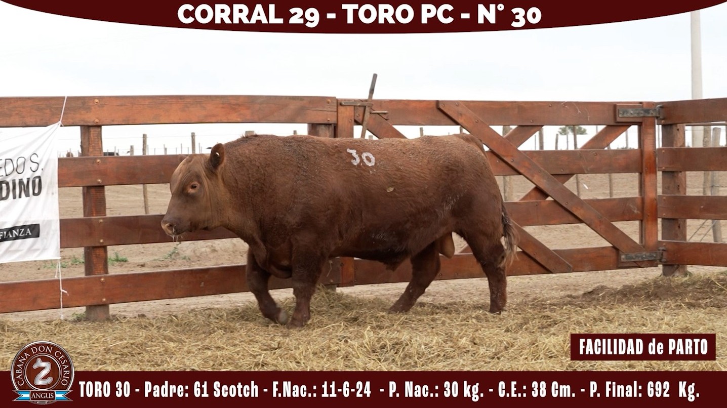 Toro PC · Corral 29 · N° 30 · Scotch