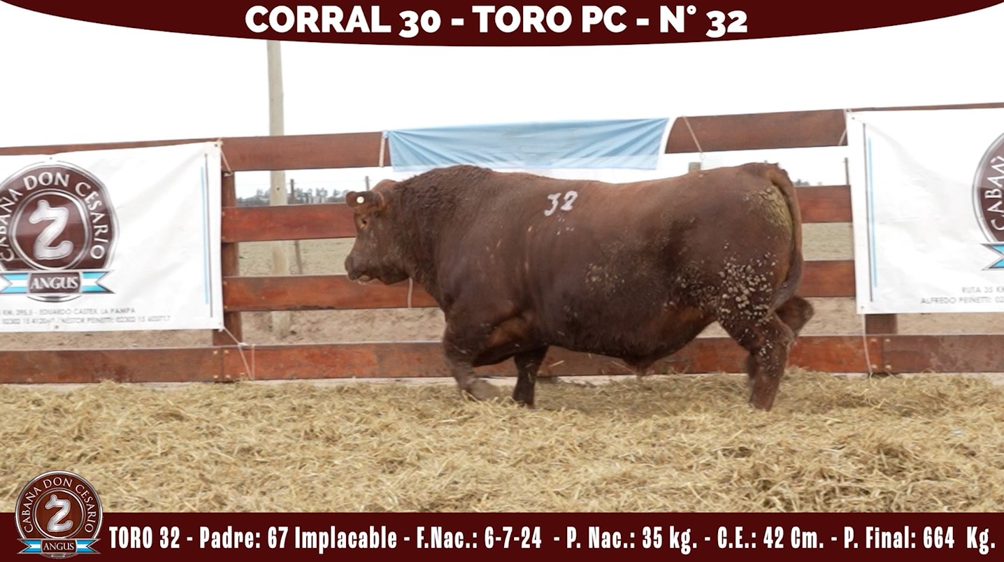 Toro PC · Corral 30 · N° 32 · Implacable