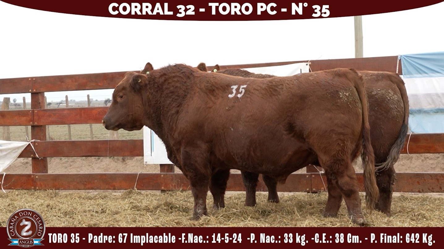 Toro PC · Corral 32 · N° 35 · Implacable
