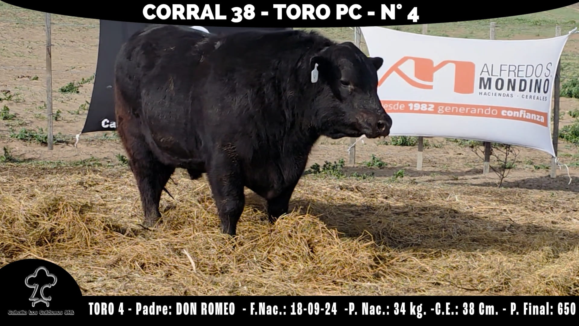 Toro PC · RP 4 · Corral 38 · Cabaña Los Caldenes