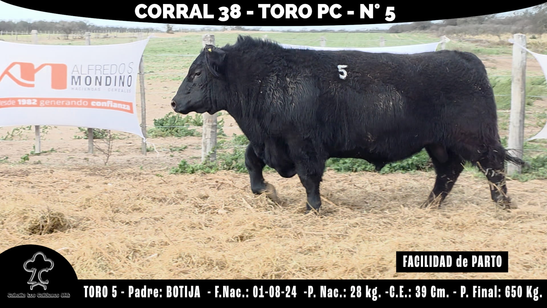 Toro PC · RP 5 · Corral 38 · Cabaña Los Caldenes