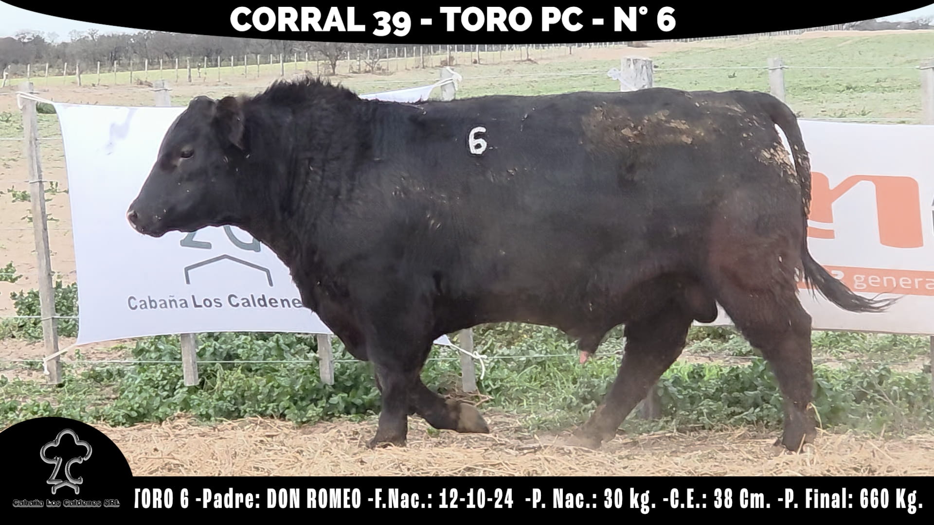 Toro PC · RP 6 · Corral 39 · Cabaña Los Caldenes