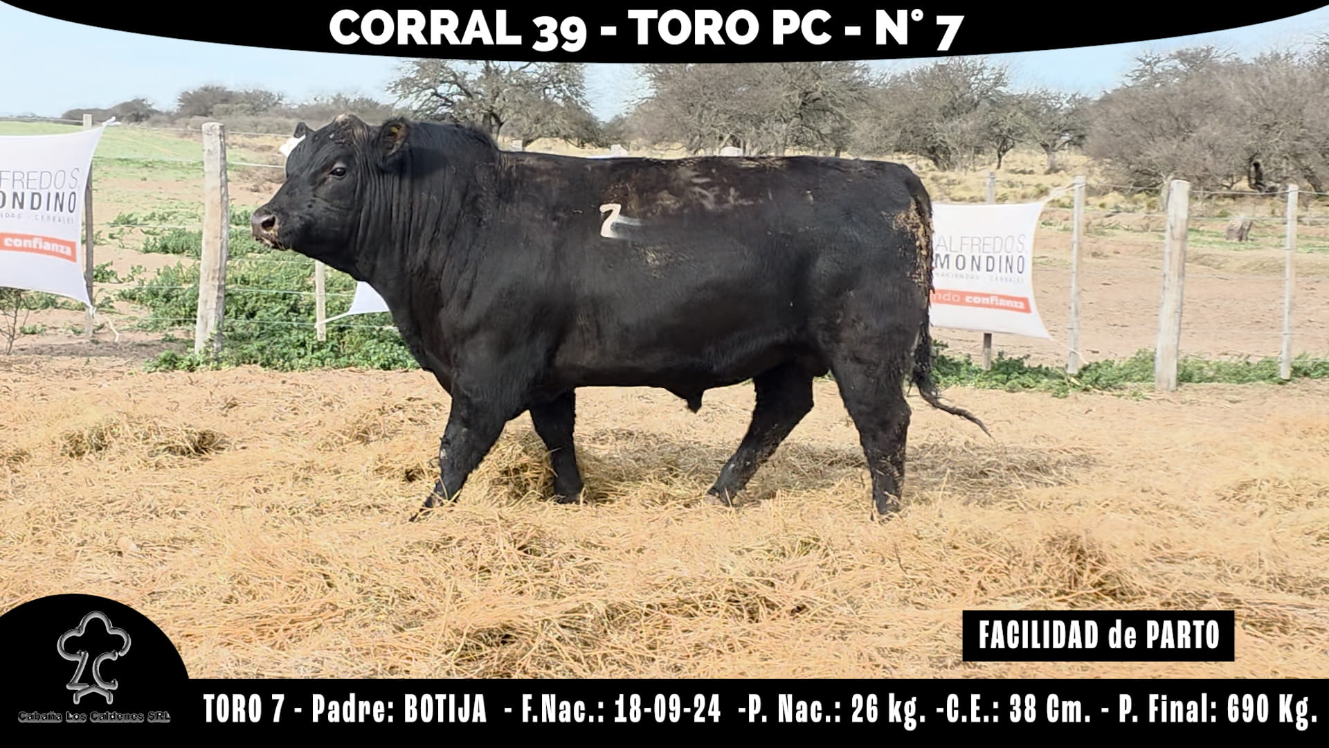 Toro PC · RP 7 · Corral 39 · Cabaña Los Caldenes