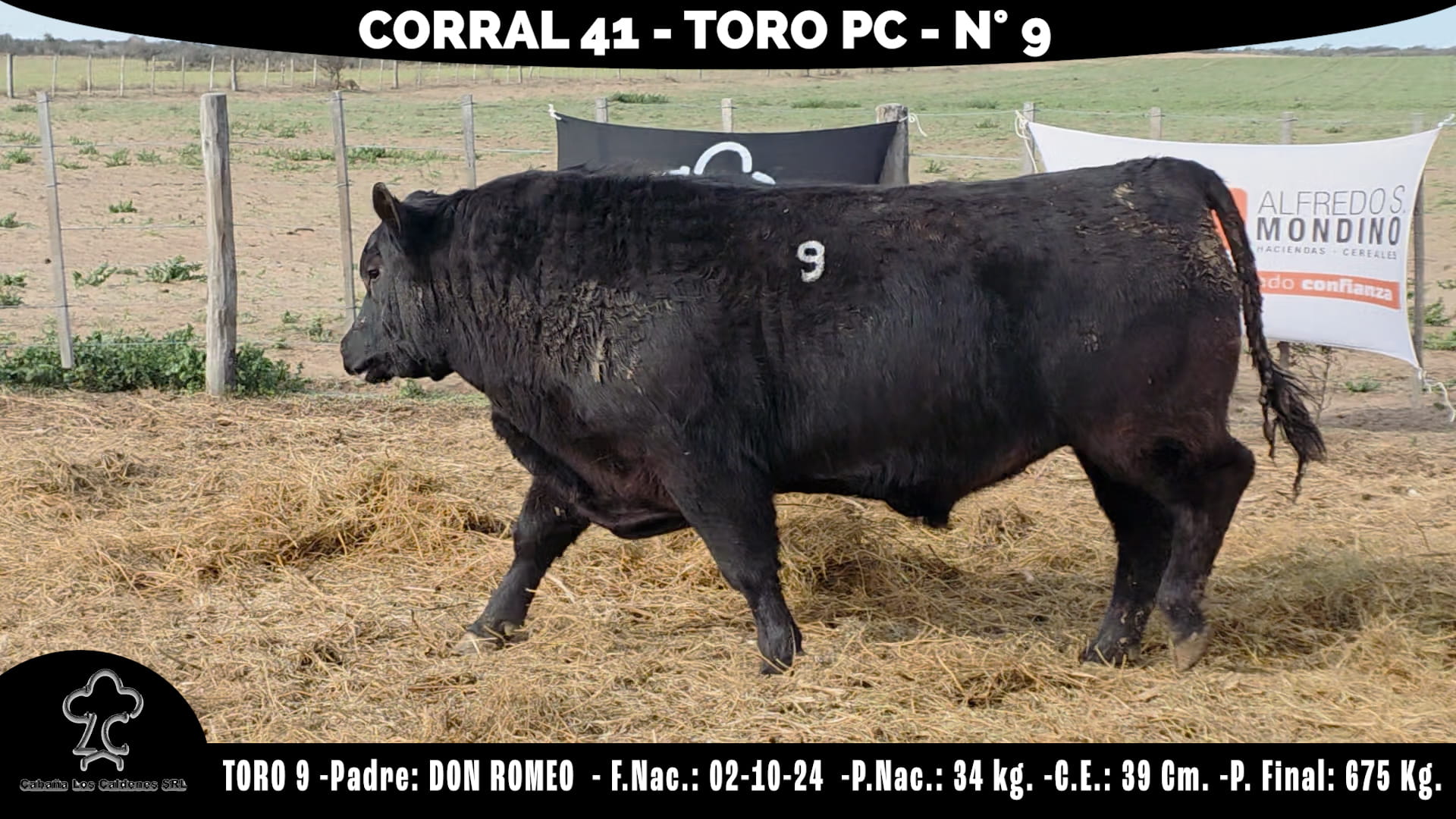 Toro PC · RP 9 · Corral 41 · Cabaña Los Caldenes