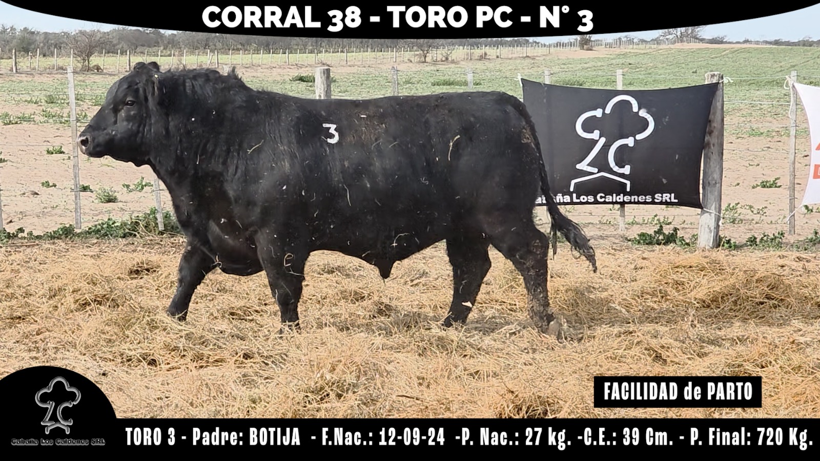 Toro PC · RP 3 · Corral 38 · Cabaña Los Caldenes