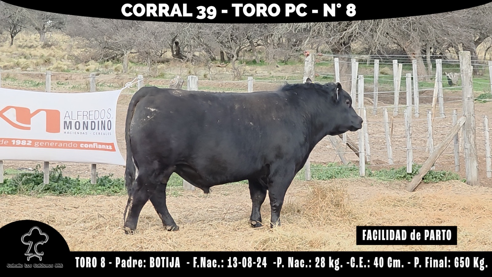Toro PC · RP 8 · Corral 39 · Cabaña Los Caldenes
