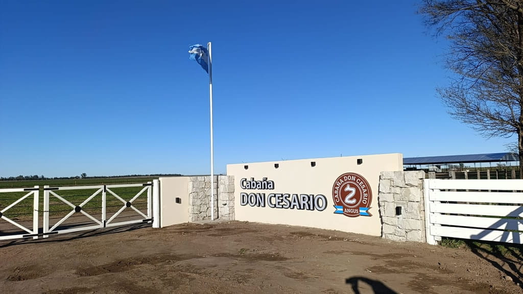 Todo sobre el 1° Remate Angus de Don Cesario: fecha y oferta