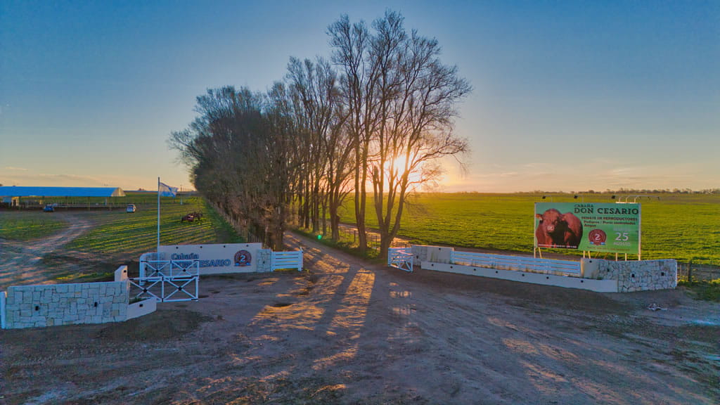 Entrada de la Cabaña Don cesario, cabaña de cría Angus en La Pampa